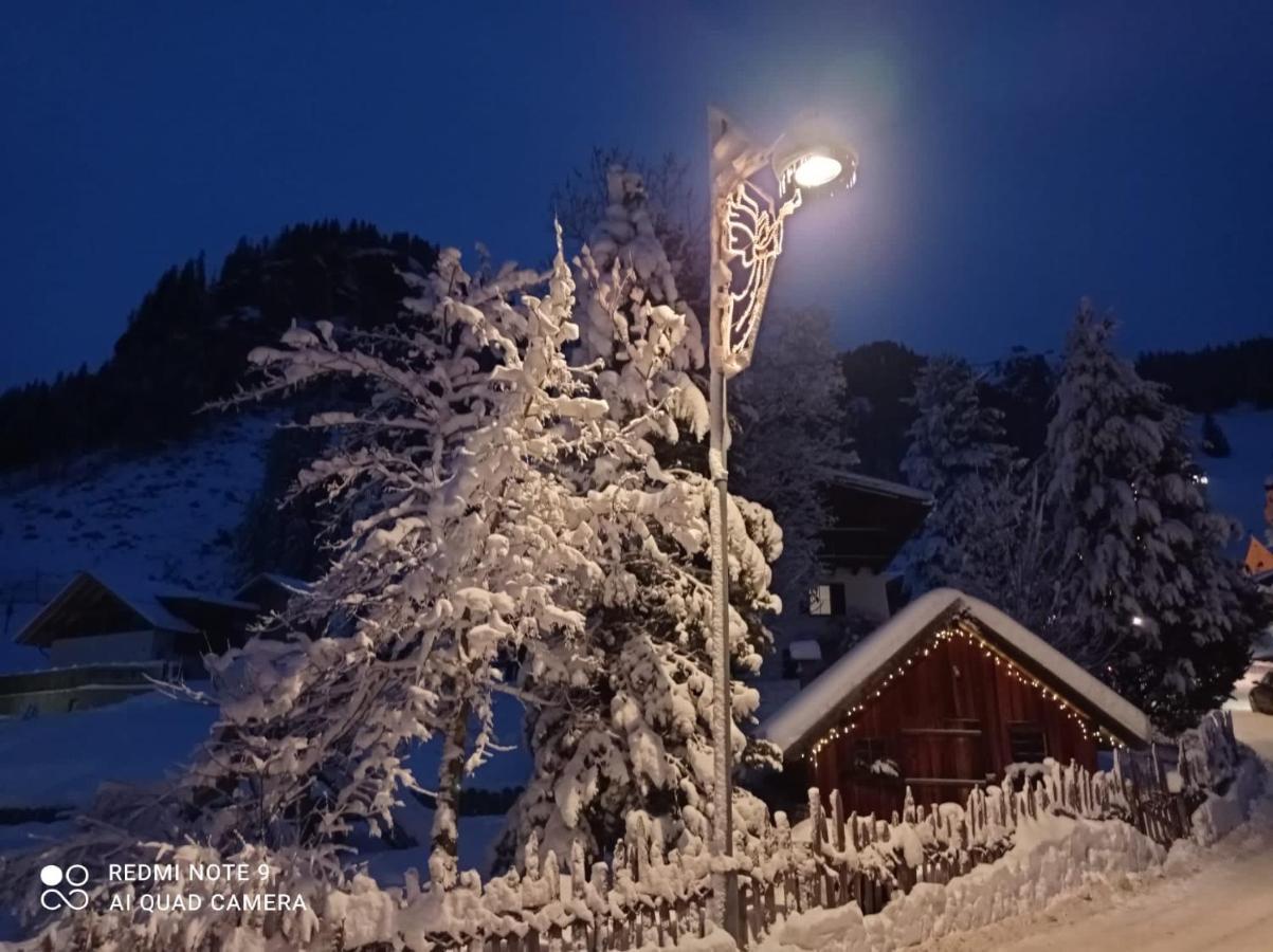 Luxury Chalet Orchidea Canazei Dış mekan fotoğraf