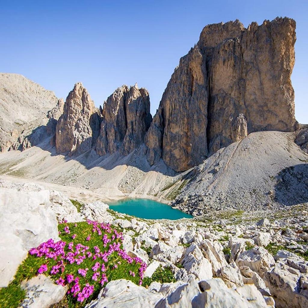 Luxury Chalet Orchidea Canazei Dış mekan fotoğraf
